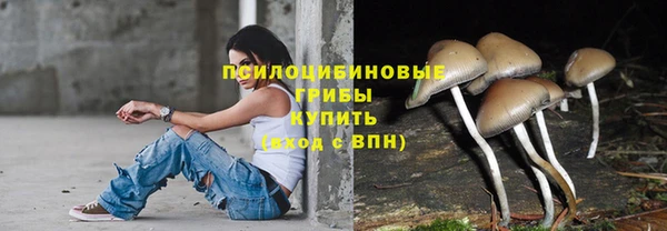 крисы Каменногорск