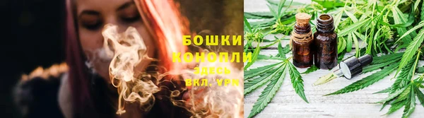 крисы Каменногорск
