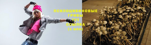шишки Каменск-Шахтинский