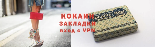 крисы Каменногорск