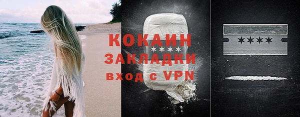 крисы Каменногорск