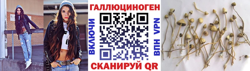 Купить  Ипатово  Галлюциногенные грибы ЛСД 